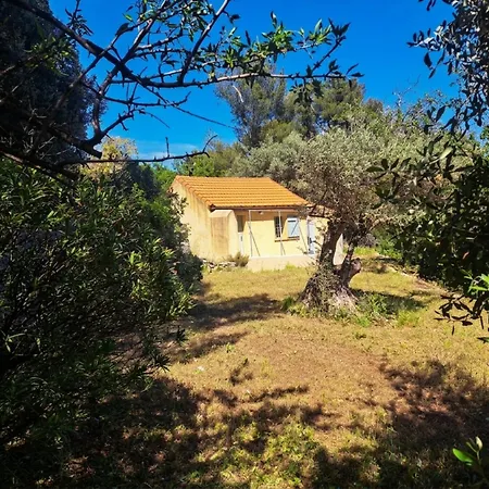 Vue Piscine Terrain 5000 M2 Calme Absolu *