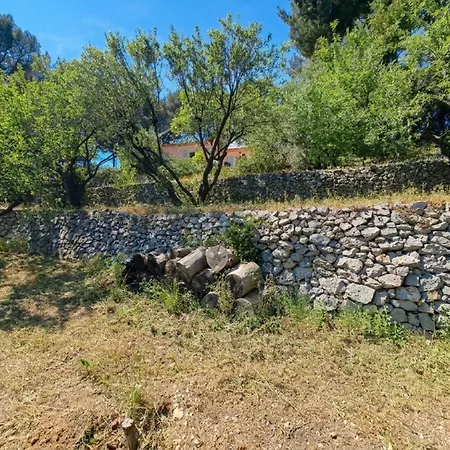 Vue Piscine Terrain 5000 M2 Calme Absolu Villa